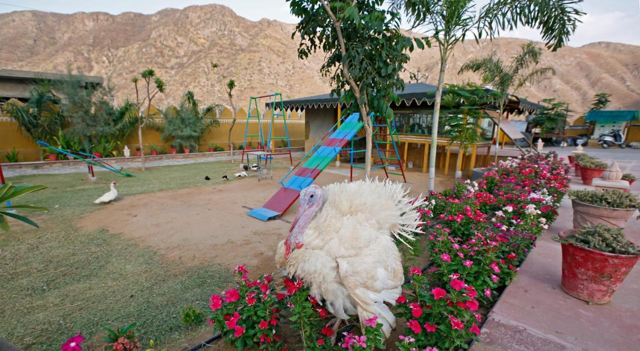 Serene Aravali Resort, Pushkar Bagian luar foto